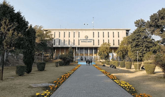 真納大学