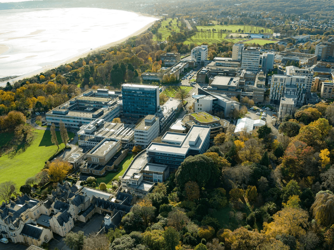 スウォンジー大学