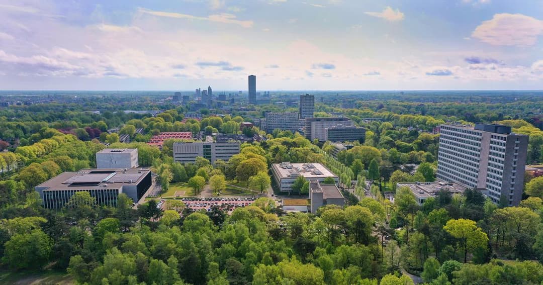 ティルブルグ大学