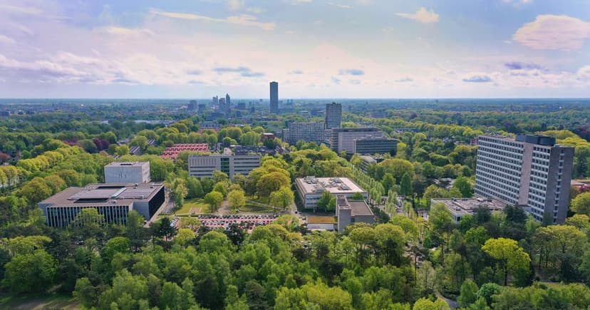 ティルブルグ大学