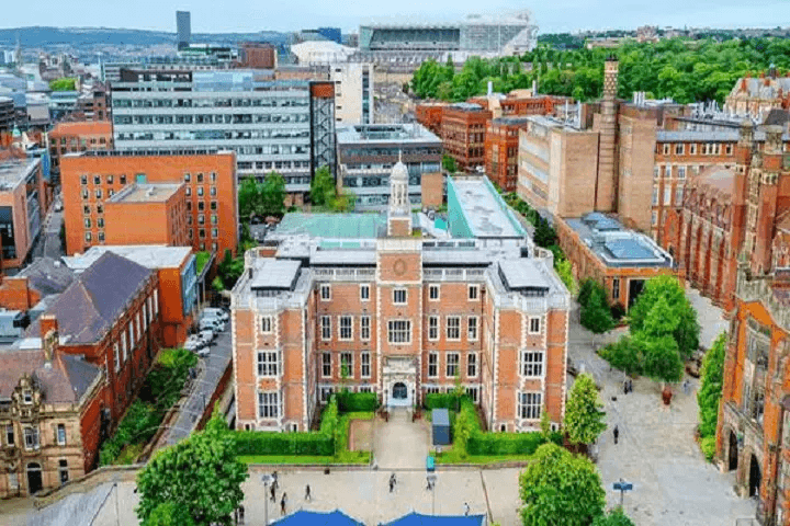 ニューカッスル大学